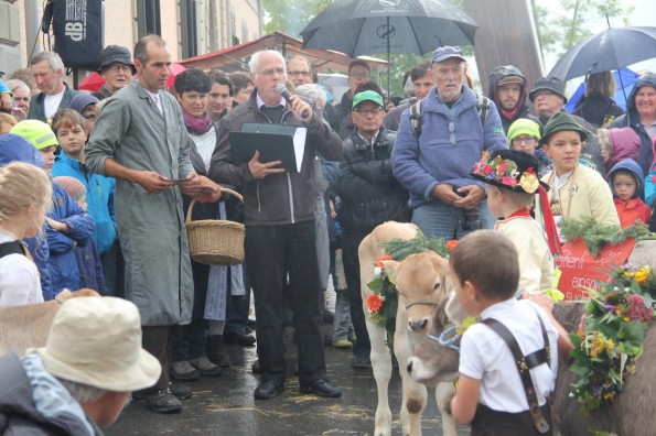 Viehschau 2015 Jungzüchterwettbewerb (2)
