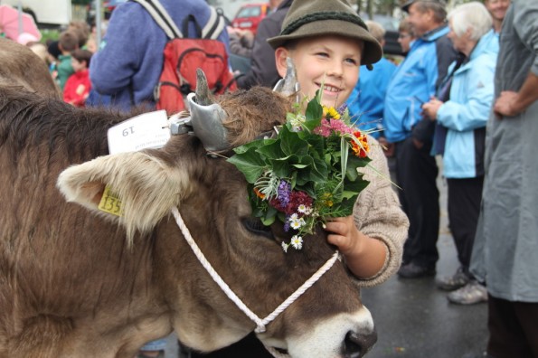Viehschau 2015 Jungzüchterwettbewerb (7)