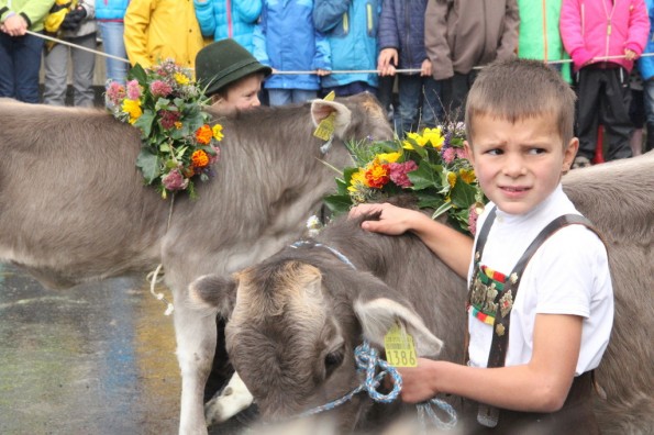 Viehschau 2015 Jungzüchterwettbewerb (8)