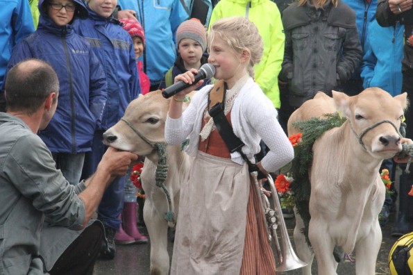 Viehschau 2015 Jungzüchterwettbewerb (9)