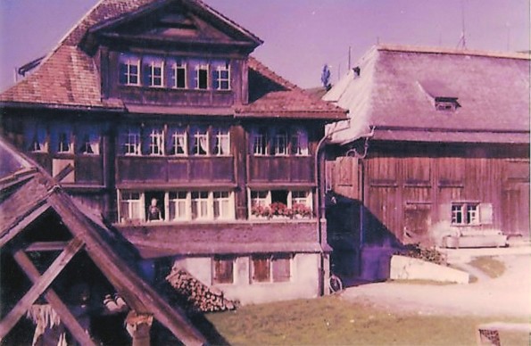 Pfauen Haus (1)