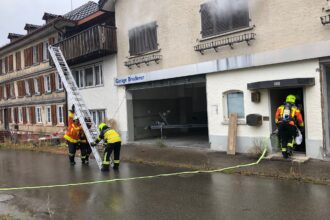 Einsatztraining mit Löschangriff und Personenrettung