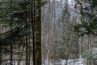 Der Seilkran kann Lasten von bis zu 2 Tonnen transportieren. In diesem steilen Gelände ein grosser Vorteil.