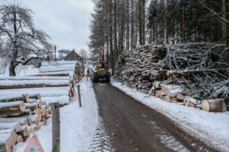 Das geschlagene Holz wird links und rechts von der Strasse aufgeschichtet und in Qualitätsstufen gegliedert.