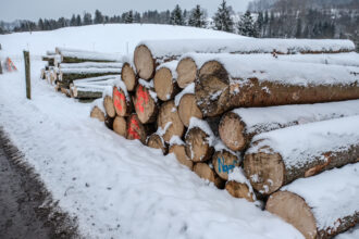 Das geschlagene Holz wird links und rechts von der Strasse aufgeschichtet und in Qualitätsstufen gegliedert.