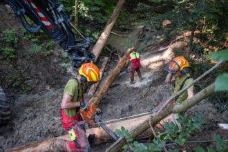 Forstwart-Lehrlinge bauen eine neue Brücke über den Blattenbach.