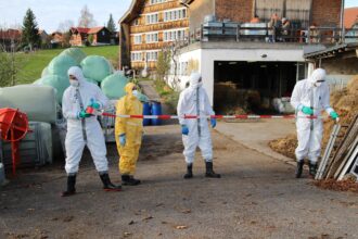 Schafbetrieb wird abgesperrt. Fotos: zVg