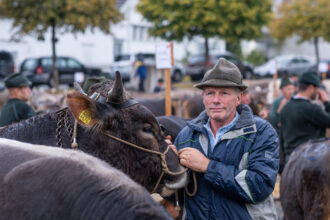Stierschau und «Herbstcup» auf dem Zeughausplatz. Fotos: tiz