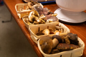 Was Wald und Wiesen diesen Herbst hergegeben haben: allerlei Pilze. 